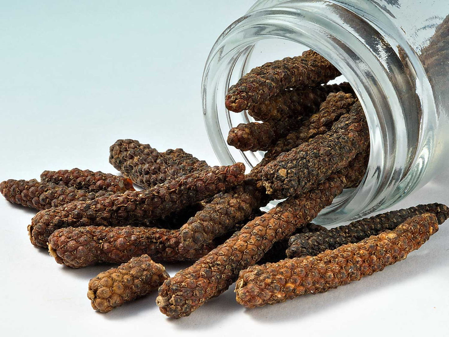 Vietnamská dlouhá červená paprika 40g