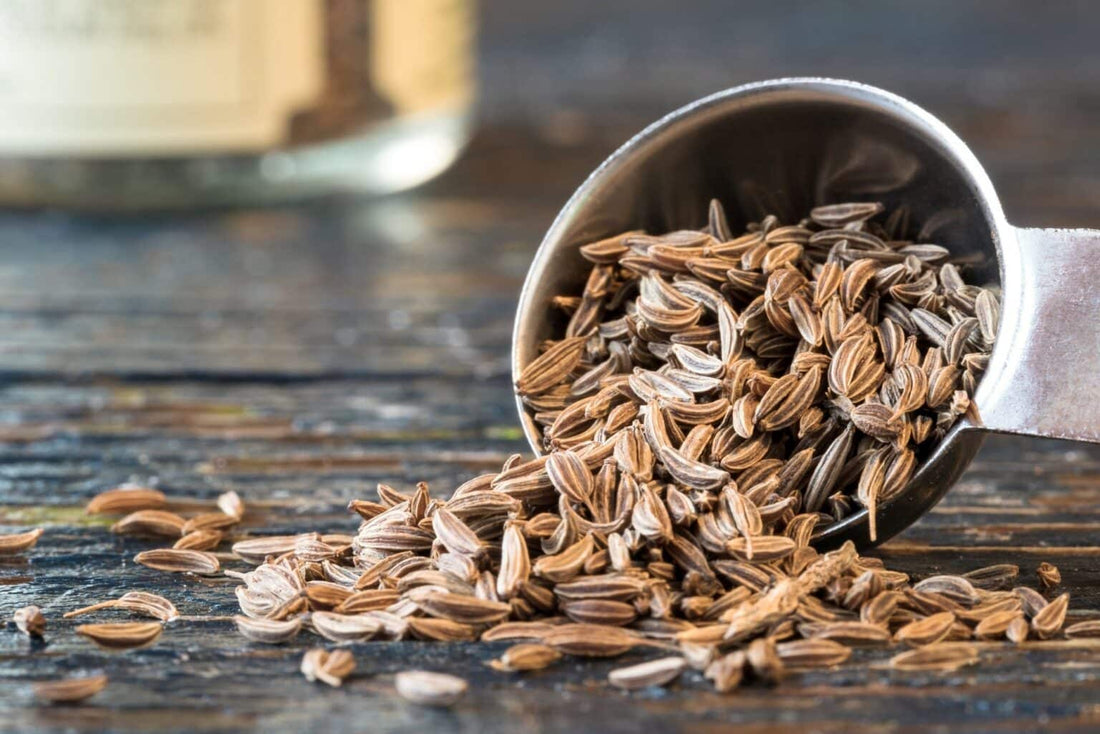 Kmín – král české kuchyně, který nesmí chybět v žádné spíži