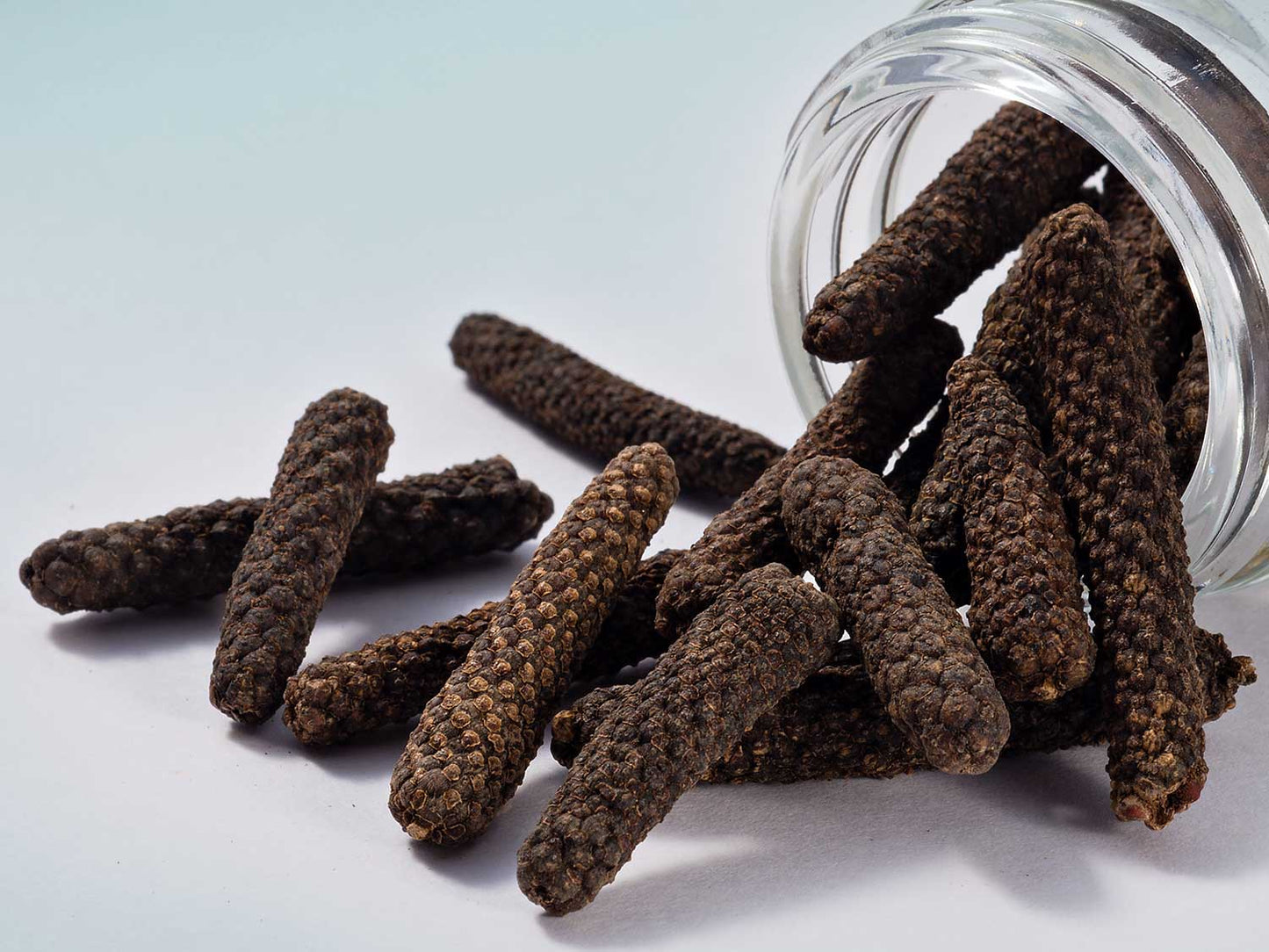 Dlouhý jávský pepř 40g