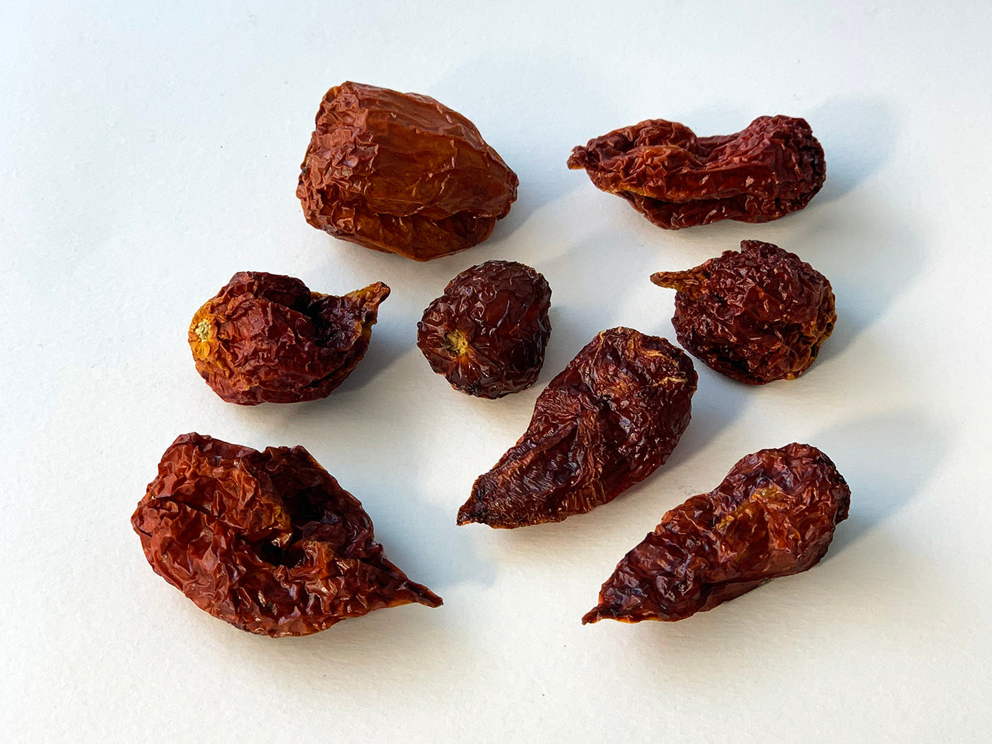 Celá chilli paprička Trinidad Scorpion 10g