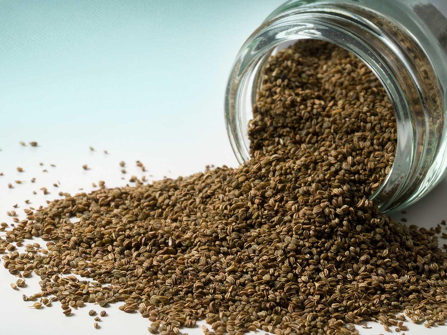 Semínka celeru 50g
