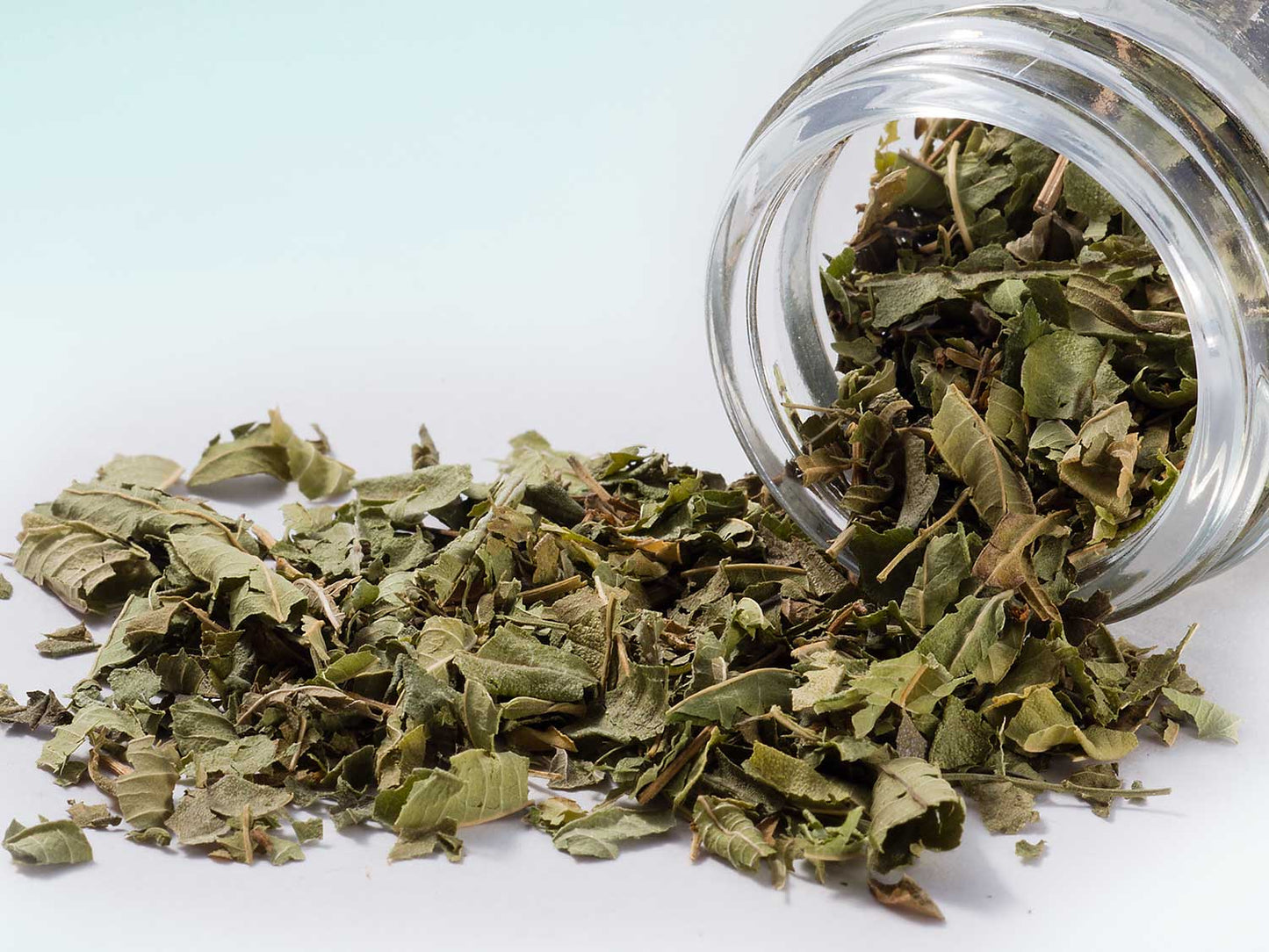 Citronová verbena 10g